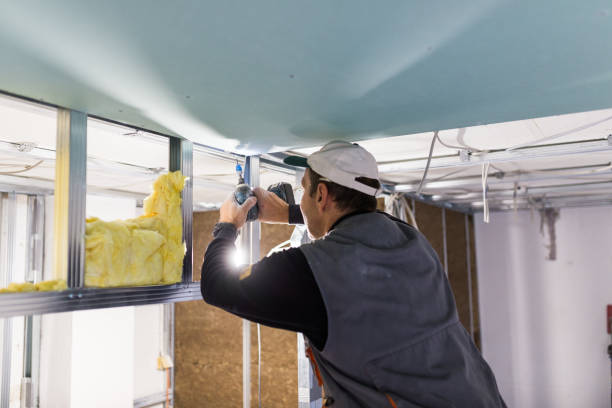 Best Eco-Friendly Insulation in Centerville, GA